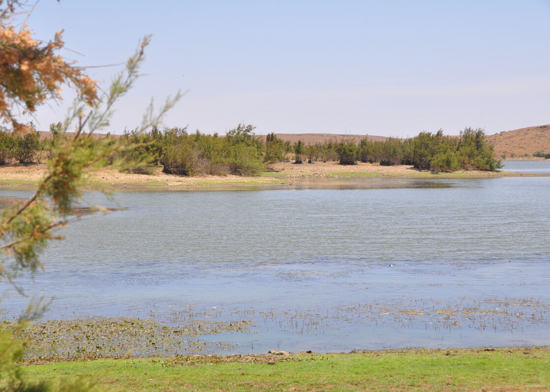 Barrage Guergara & Lac Zima 3