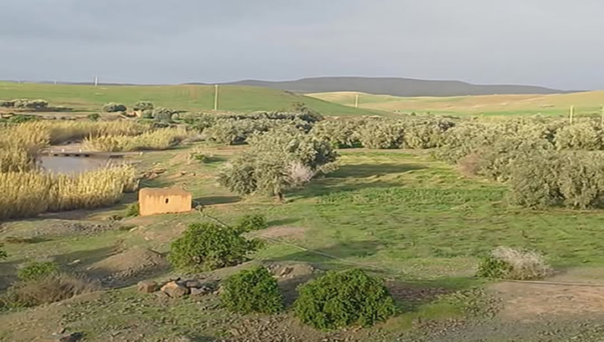 barrage ouled abbes 3